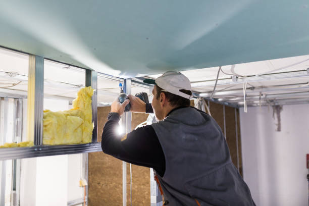 Best Insulation for Specific Applications in Shannon, GA