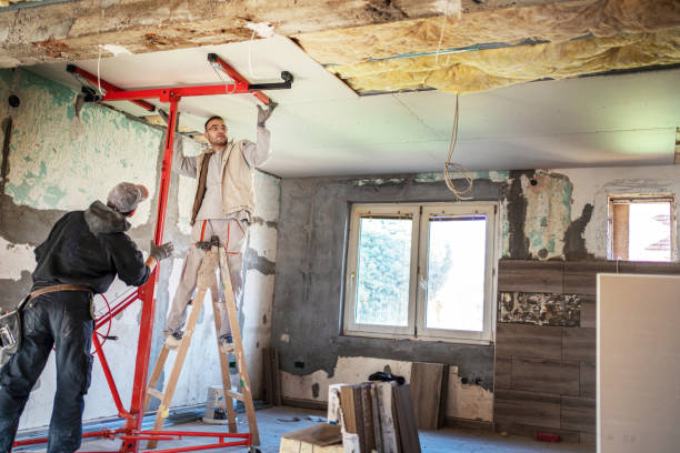 Best Types of Insulation in Shannon, GA