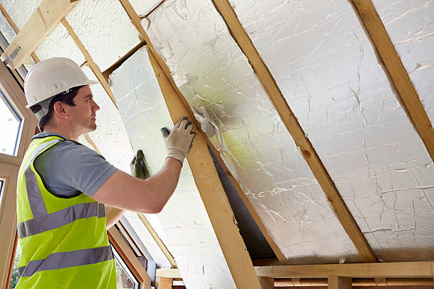 Best Commercial Insulation in Shannon, GA